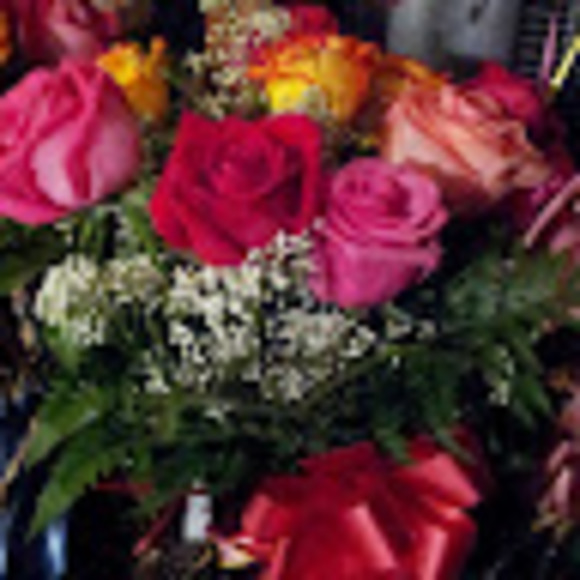 Meet your Posher, Tina - Picture 1 of 1